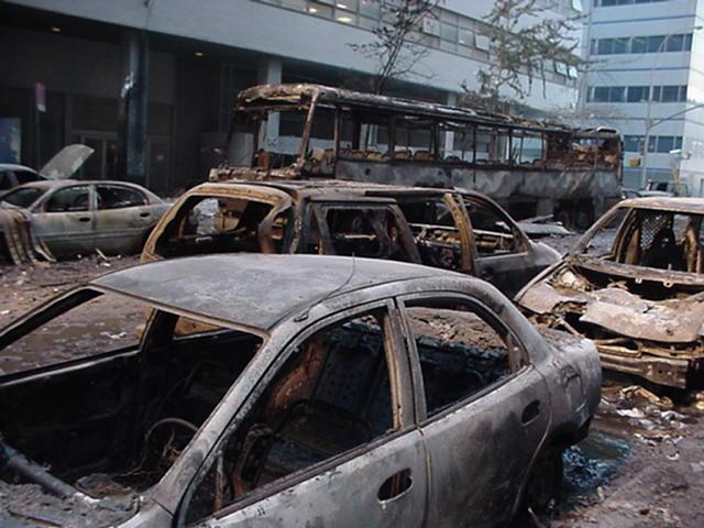 Toastedcars drjudywoodcom image16swamp