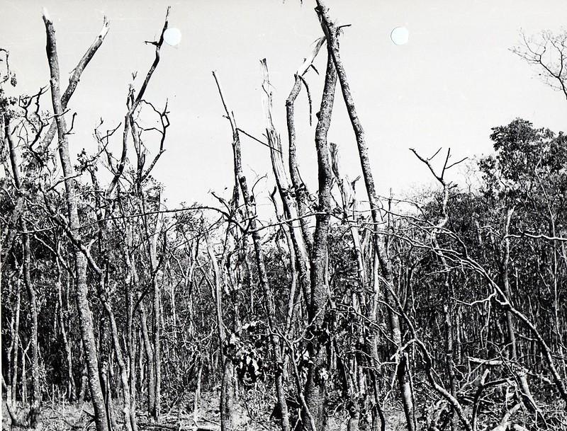 40926779260 49ff3c71a2 c