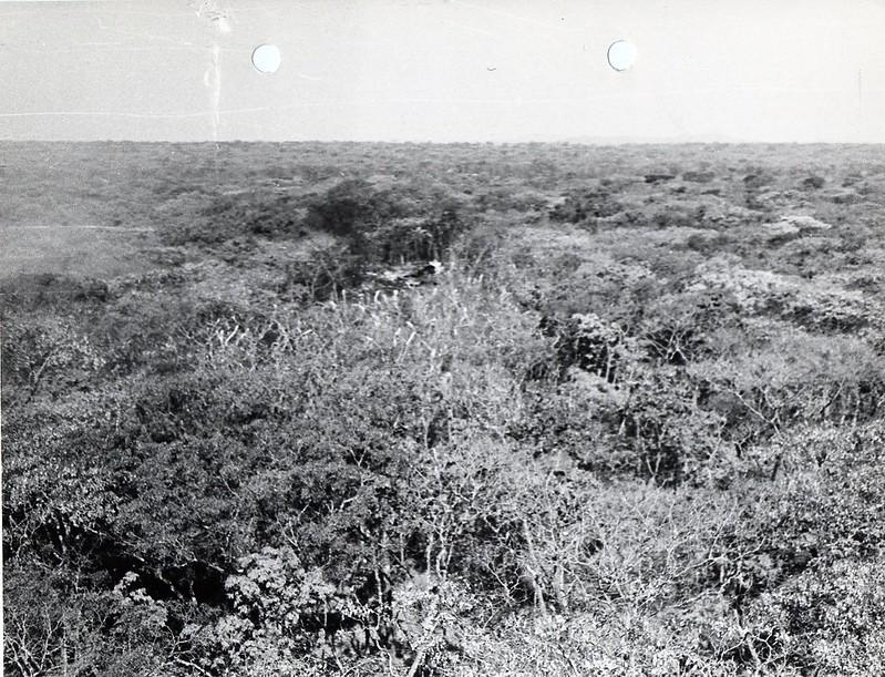 40926779520 ea1ce3db97 c