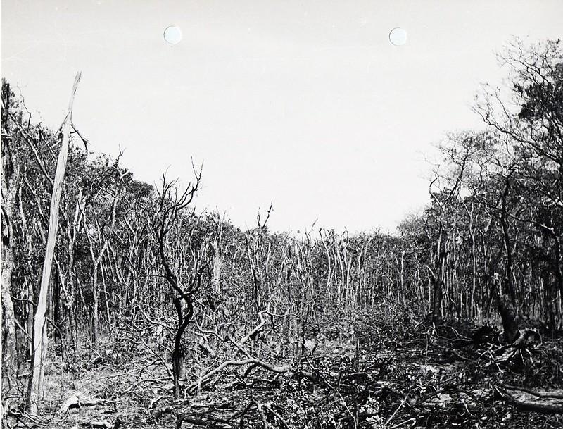 41837616085 63906dabcb c