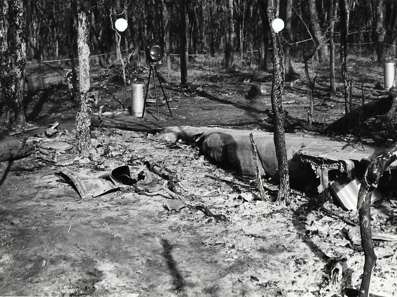 41837617135 db55dd2c13 c