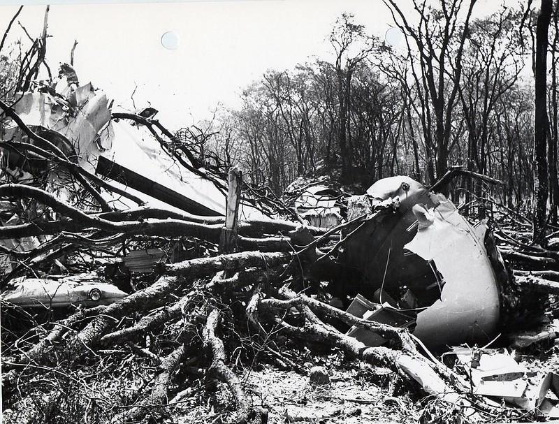 41837617355 ed3df2c1cb c