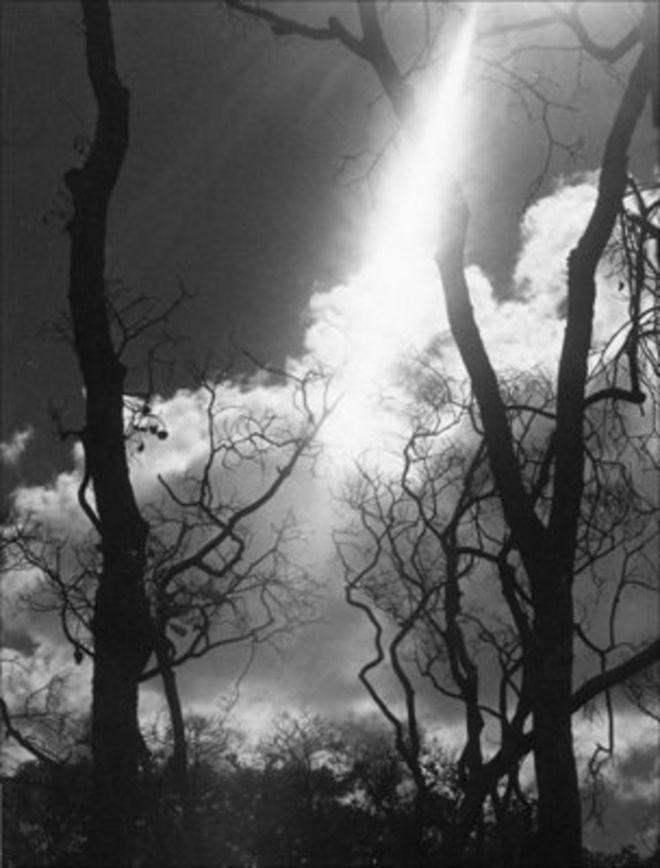 55427289 gis photo304