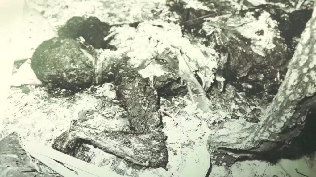 Vlcsnap 2026 02 15 18h58m23s797