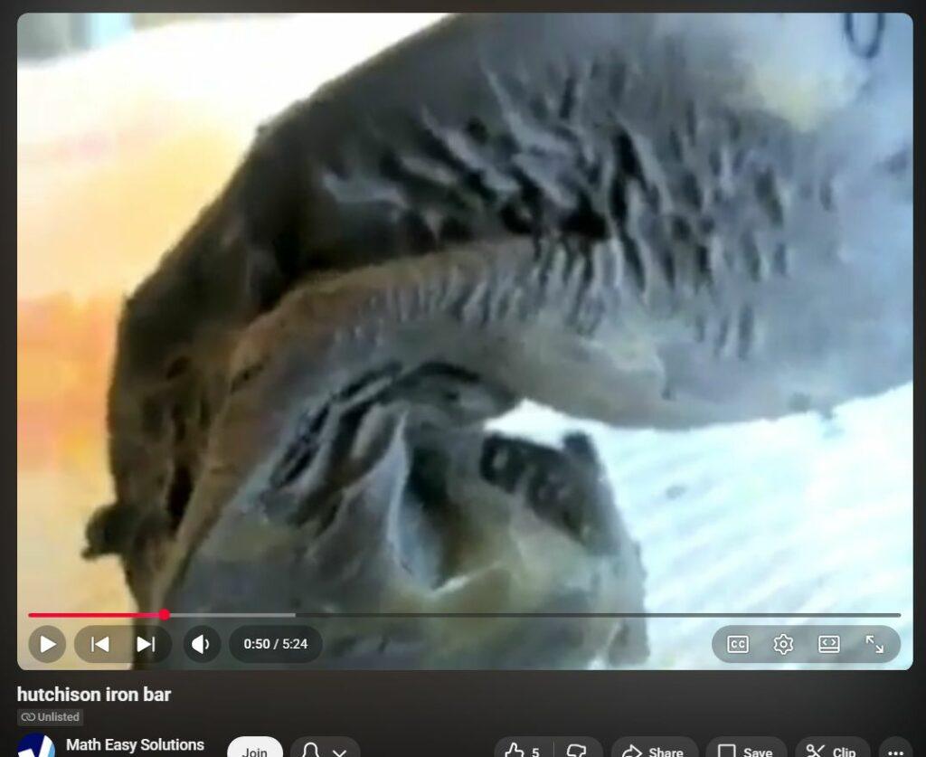 911 on a Desktop -- Watch DEW "Impossibly" Soften, Warp and Wilt Heavy Iron Bar within 30 Seconds - HUTCHISON EFFECT