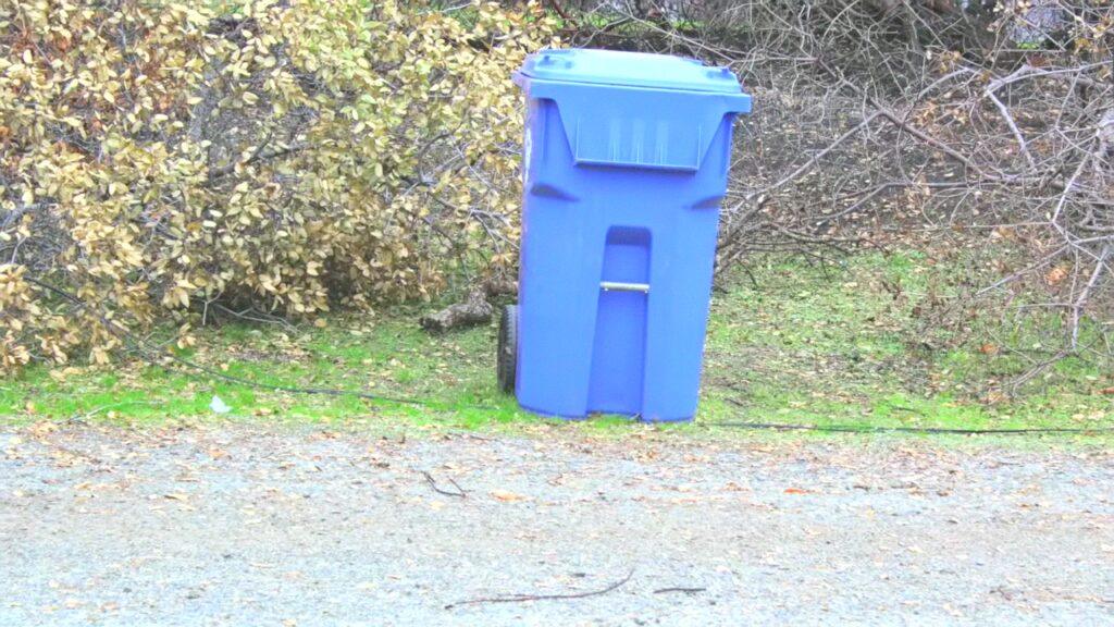 Vlcsnap 2025 03 21 08h46m42s662