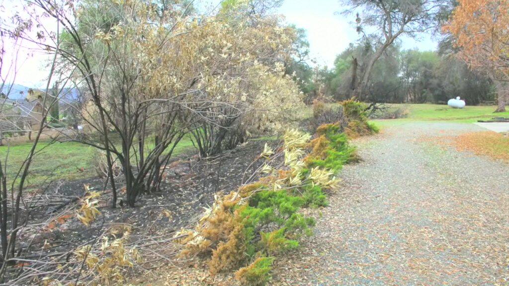 Vlcsnap 2025 03 21 08h47m04s670