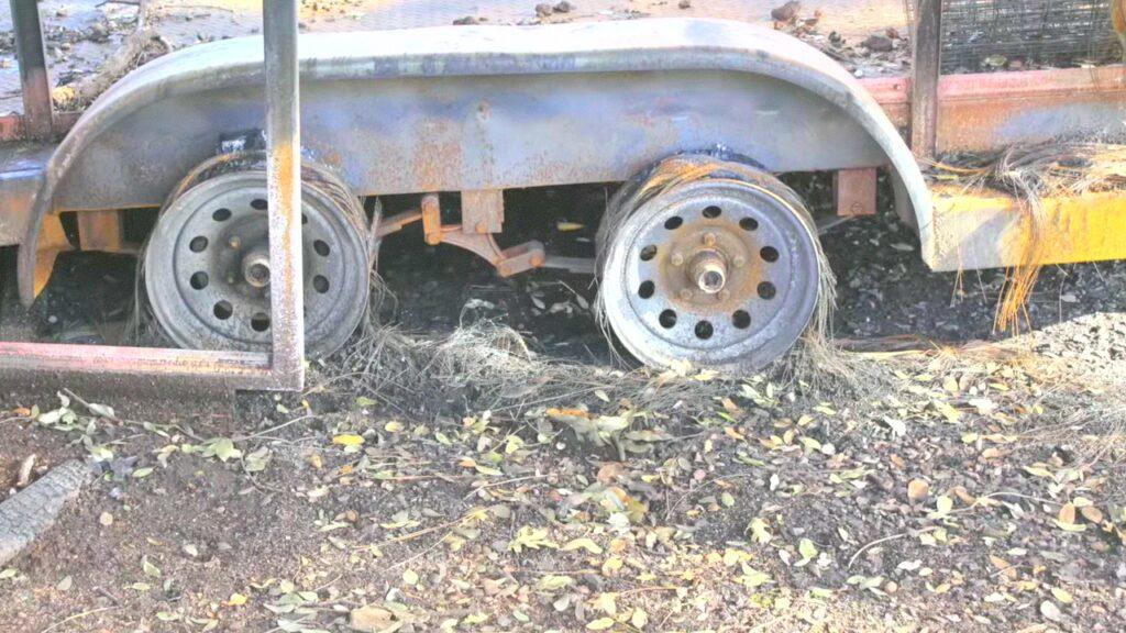 Vlcsnap 2025 03 21 08h47m56s958