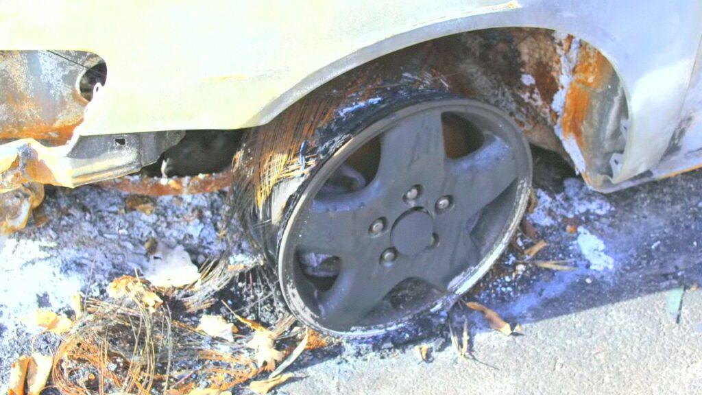 Vlcsnap 2025 03 21 08h48m12s348