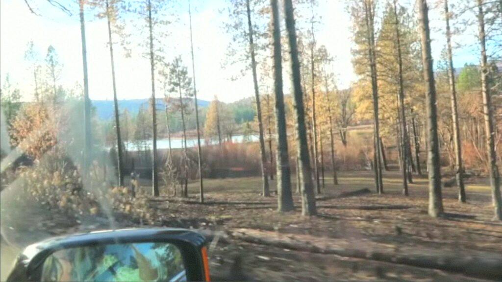 Vlcsnap 2025 03 21 11h23m13s697