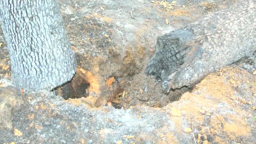 Vlcsnap 2025 03 21 11h24m36s919