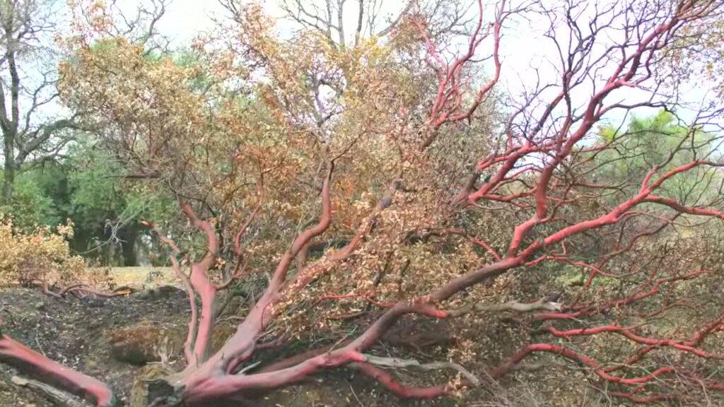 Vlcsnap 2025 03 21 11h24m41s198