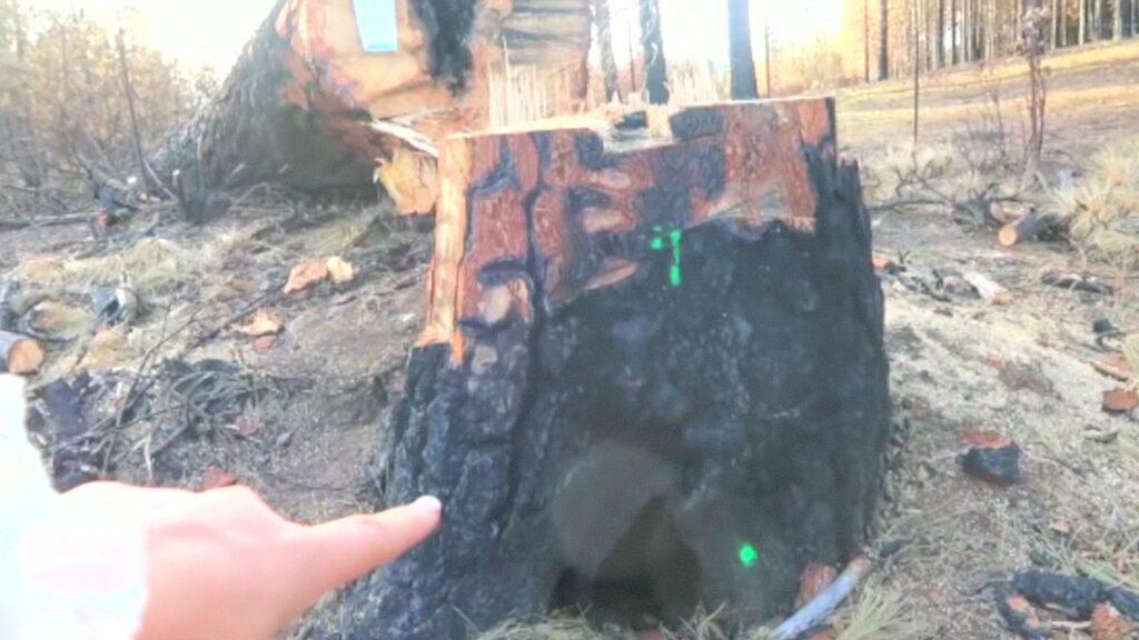 Vlcsnap 2025 03 21 11h24m45s278