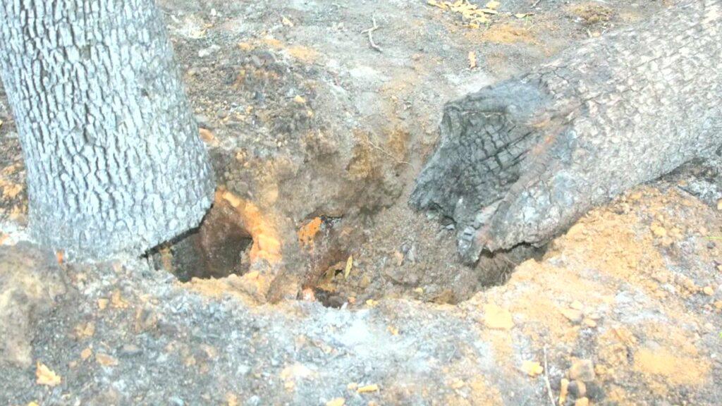 Vlcsnap 2025 03 21 11h25m56s646