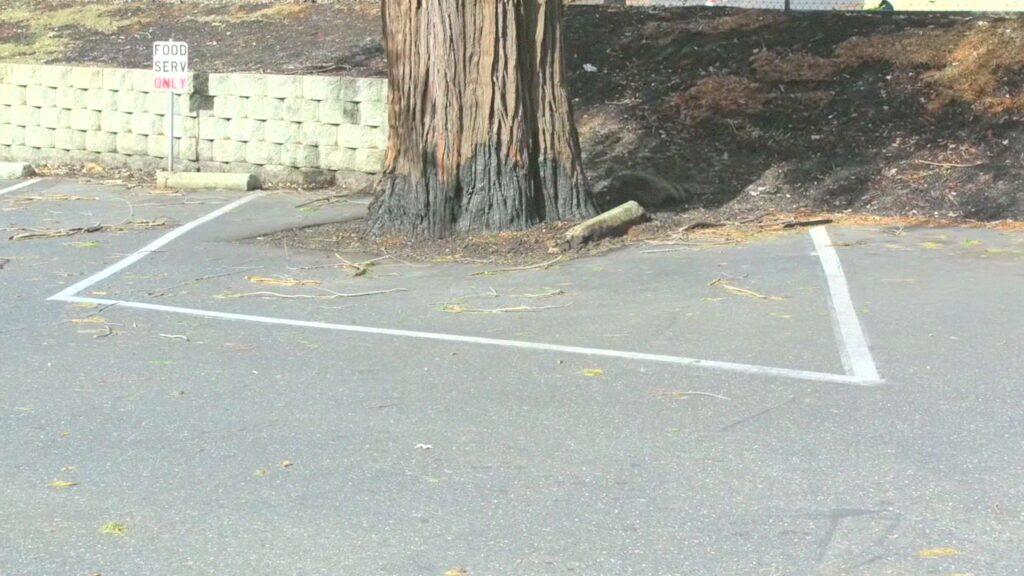 Vlcsnap 2025 03 21 11h26m18s623