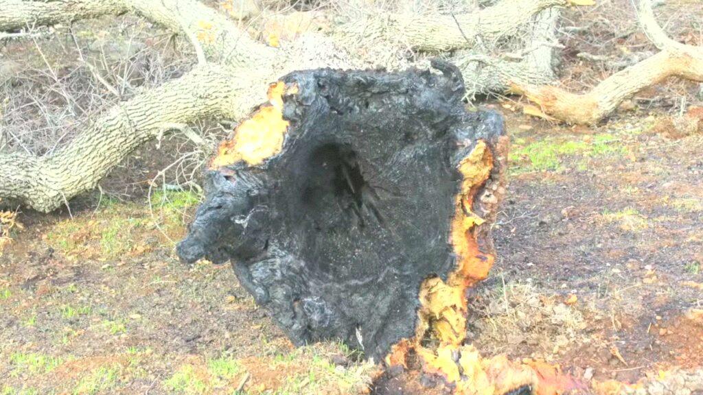 Vlcsnap 2025 03 21 11h27m00s051