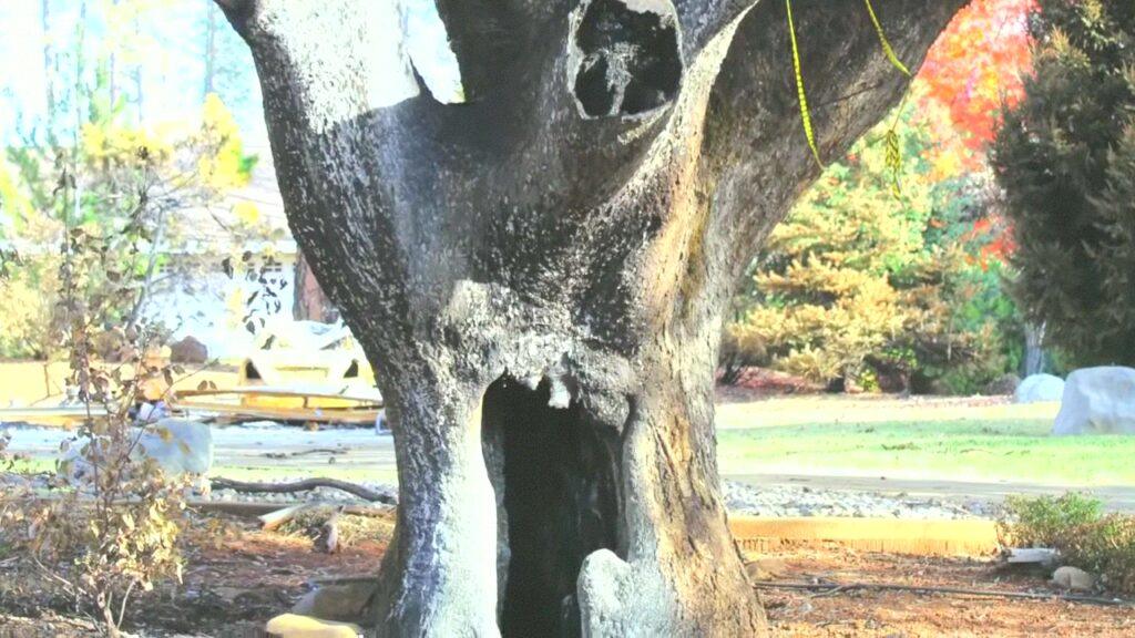 Vlcsnap 2025 03 21 11h28m22s607