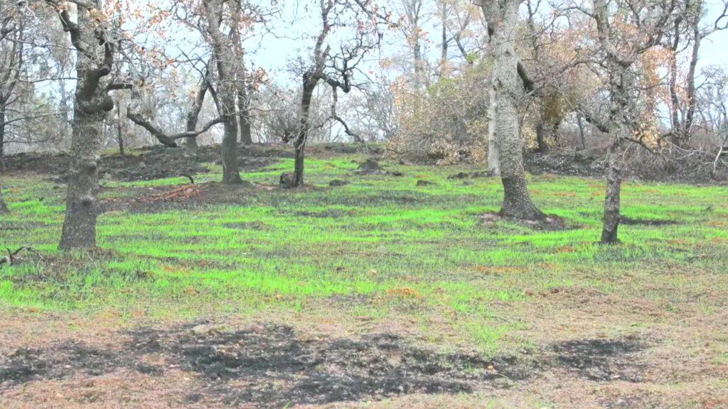 Vlcsnap 2025 03 21 11h28m26s712