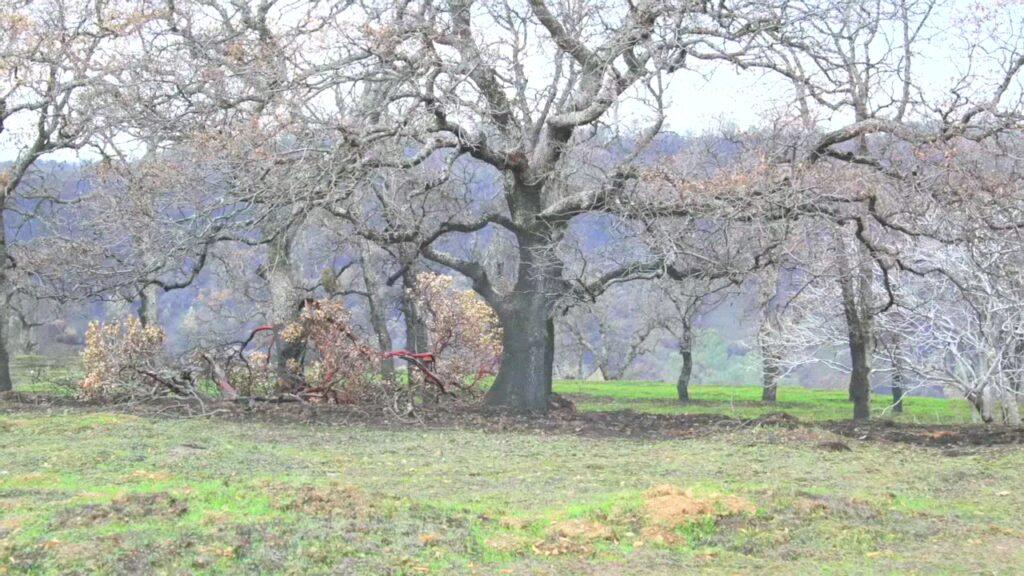 Vlcsnap 2025 03 21 12h37m05s561