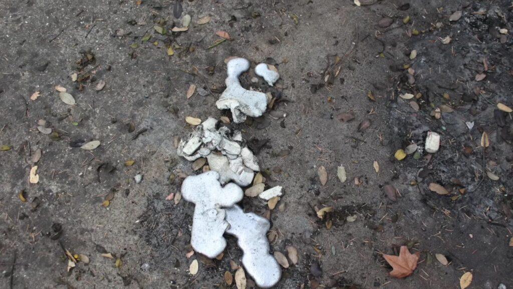 Vlcsnap 2025 03 21 18h01m03s656