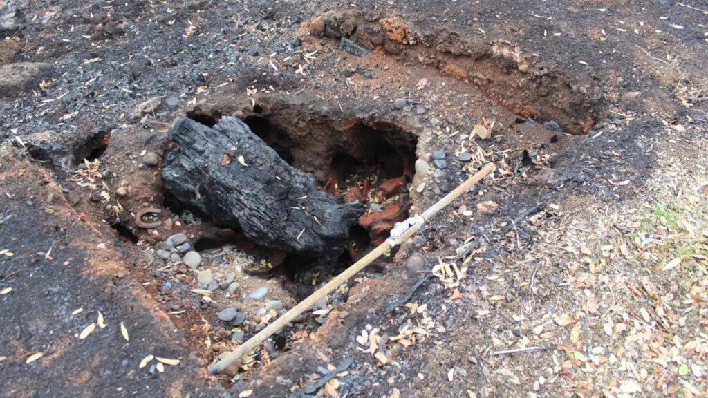 Vlcsnap 2025 03 21 18h03m28s961