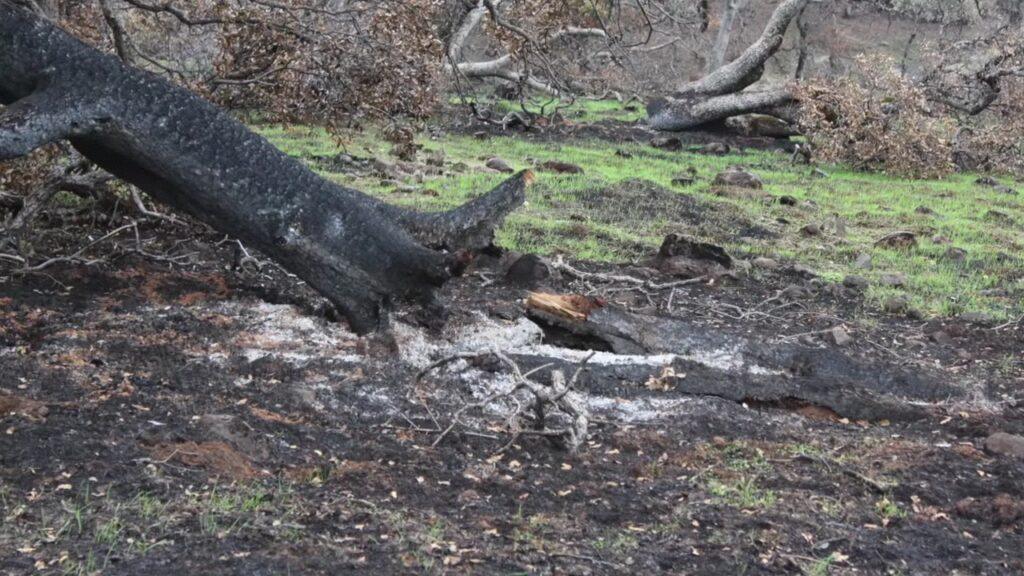 Vlcsnap 2025 03 21 18h03m44s446