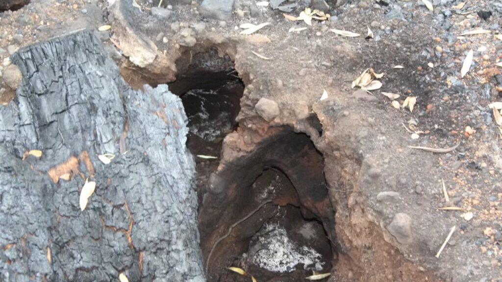 Vlcsnap 2025 03 21 18h04m06s820