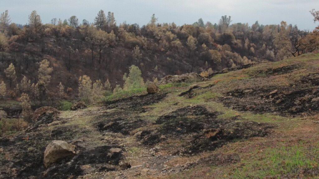 Vlcsnap 2025 03 21 18h04m32s792