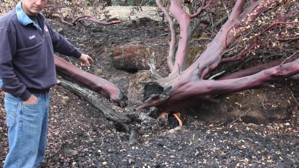 Vlcsnap 2025 03 22 01h52m59s744