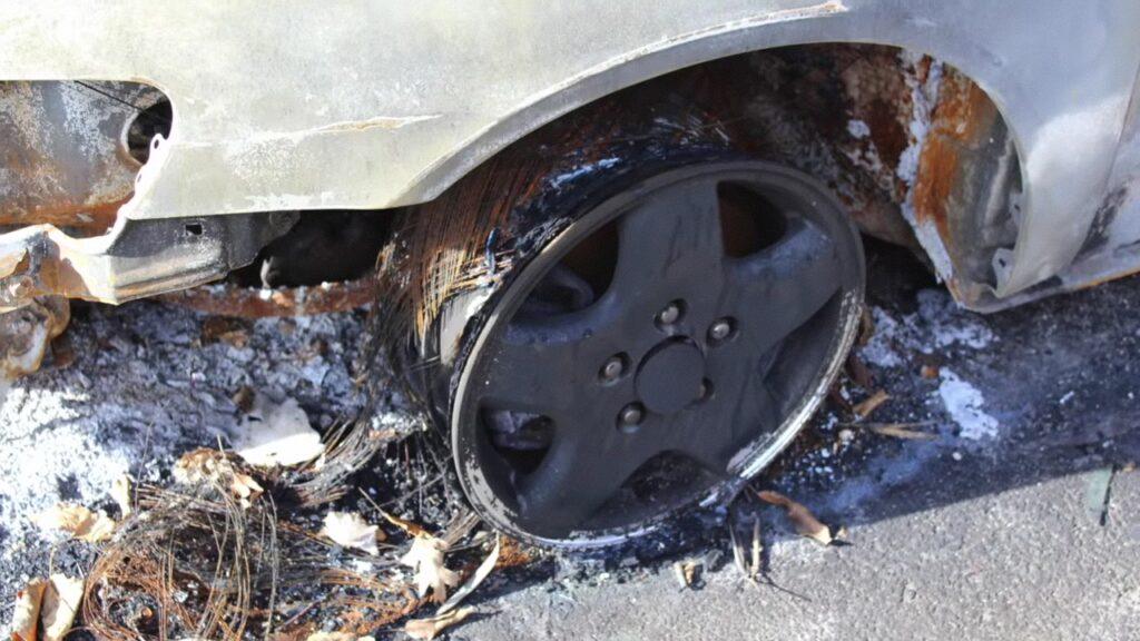 Vlcsnap 2025 03 22 02h16m07s503