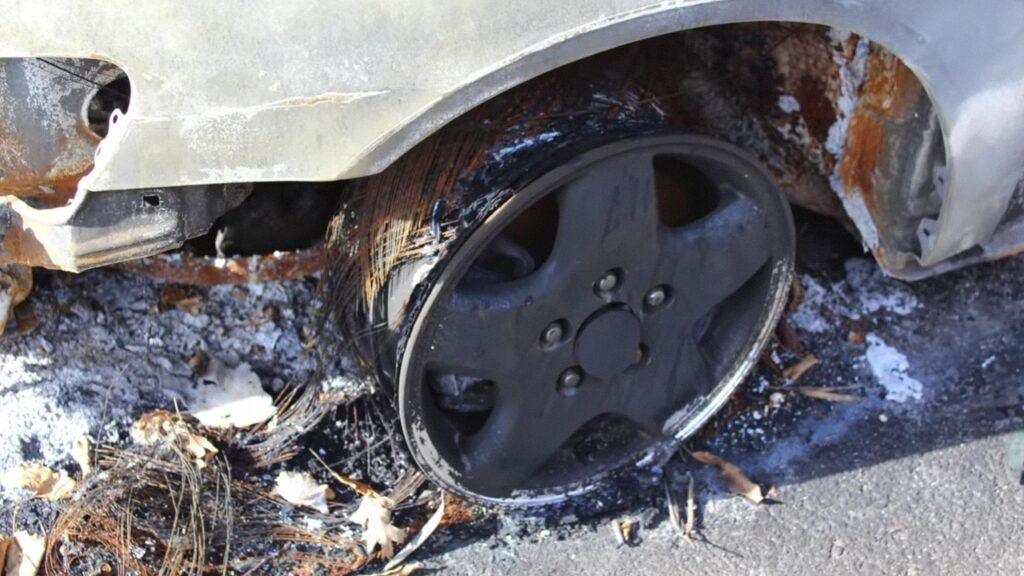 Vlcsnap 2025 03 22 02h16m48s415