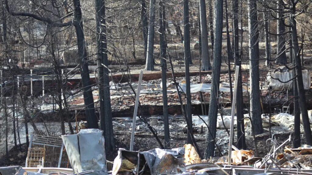 Vlcsnap 2025 03 22 02h28m40s120