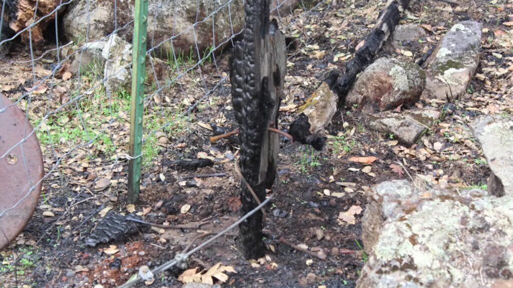 Vlcsnap 2025 03 22 02h29m05s792