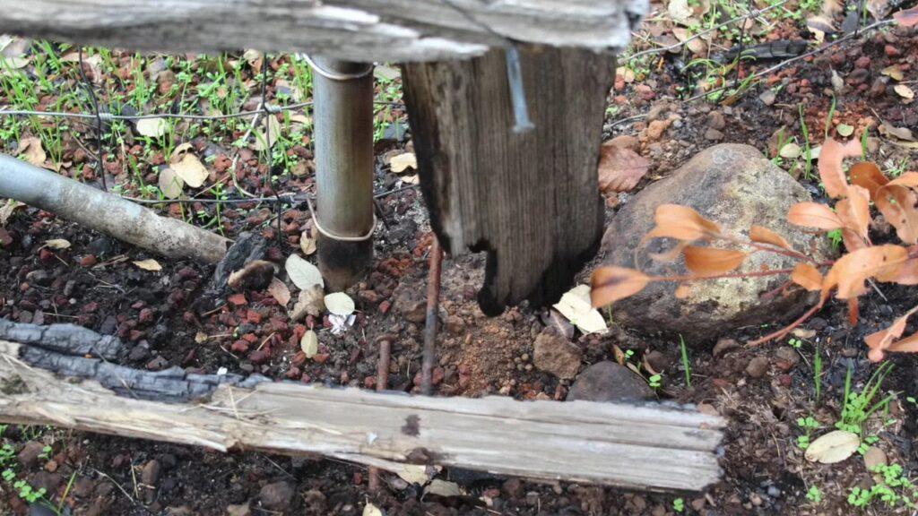 Vlcsnap 2025 03 22 02h29m21s414