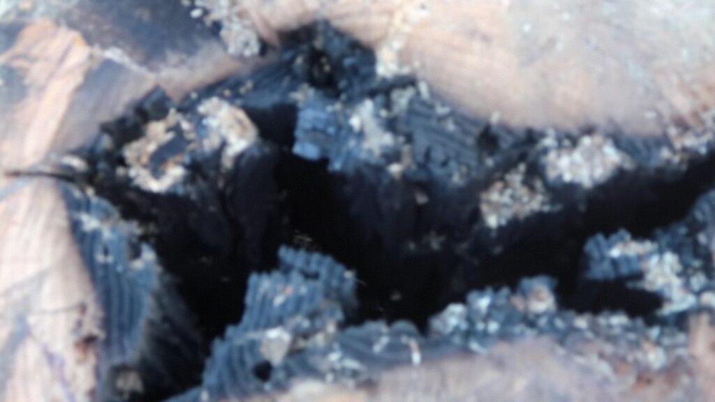 Vlcsnap 2025 03 22 02h30m51s537