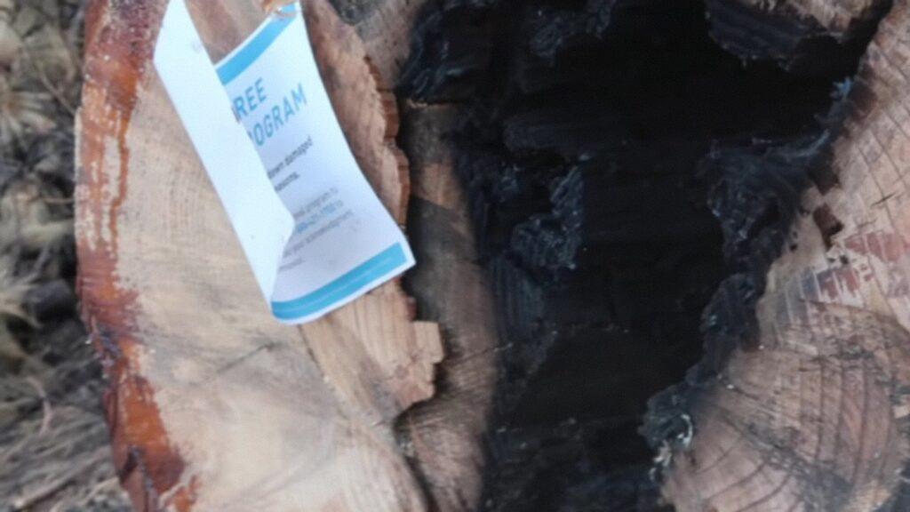 Vlcsnap 2025 03 22 02h30m58s630