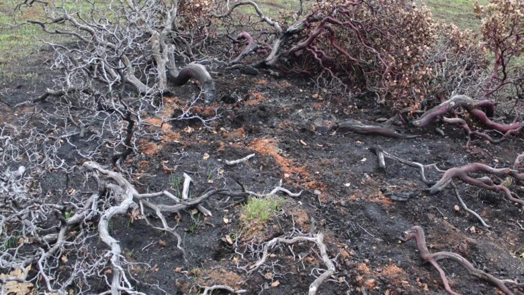 Vlcsnap 2025 03 22 02h31m32s844