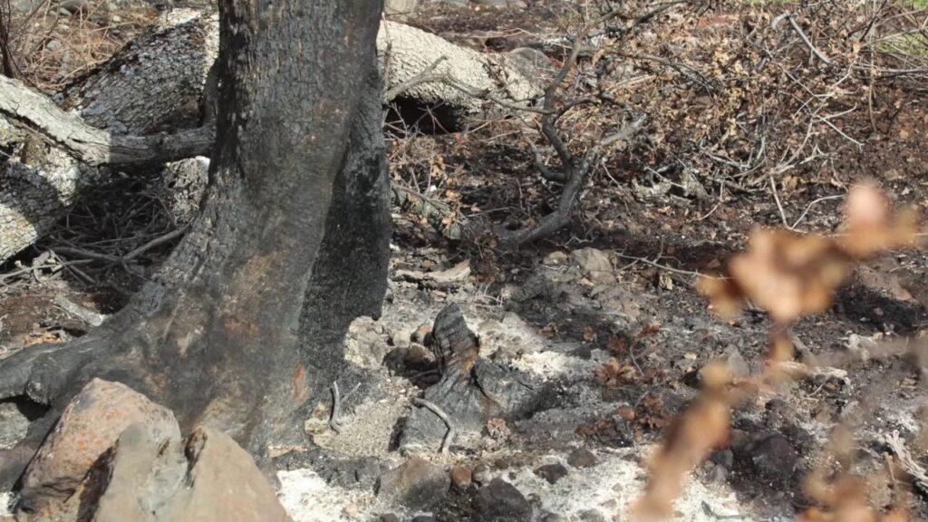 Vlcsnap 2025 03 22 02h33m47s233