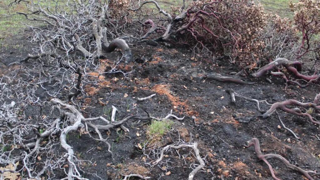 Vlcsnap 2025 03 22 02h34m04s708