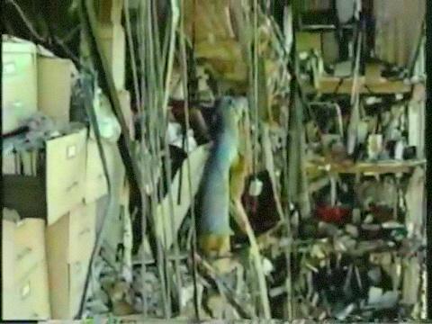 Vlcsnap 2026 02 09 15h00m11s235