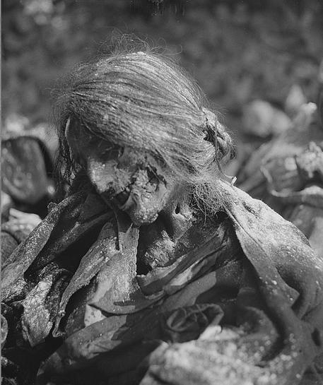 DEW Dresden German woman main 900 1686930755