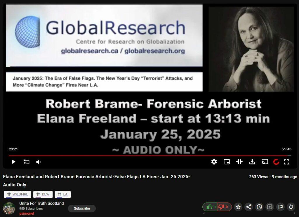 Excellent + Brief DEW Info -- Elana Freeland + Robert Brame
